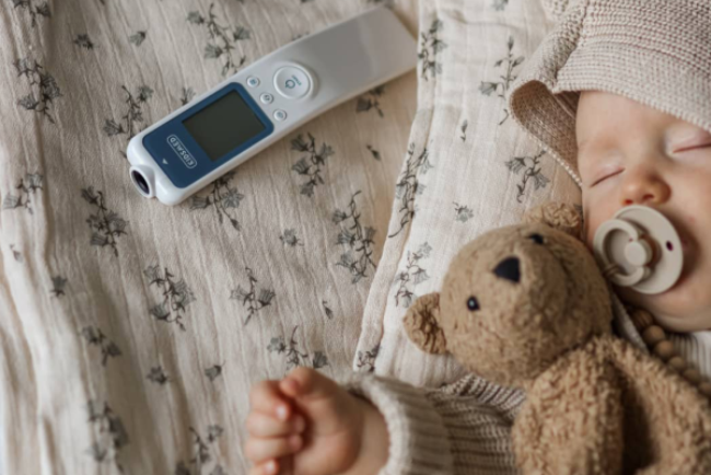 logo evelina 2market 271